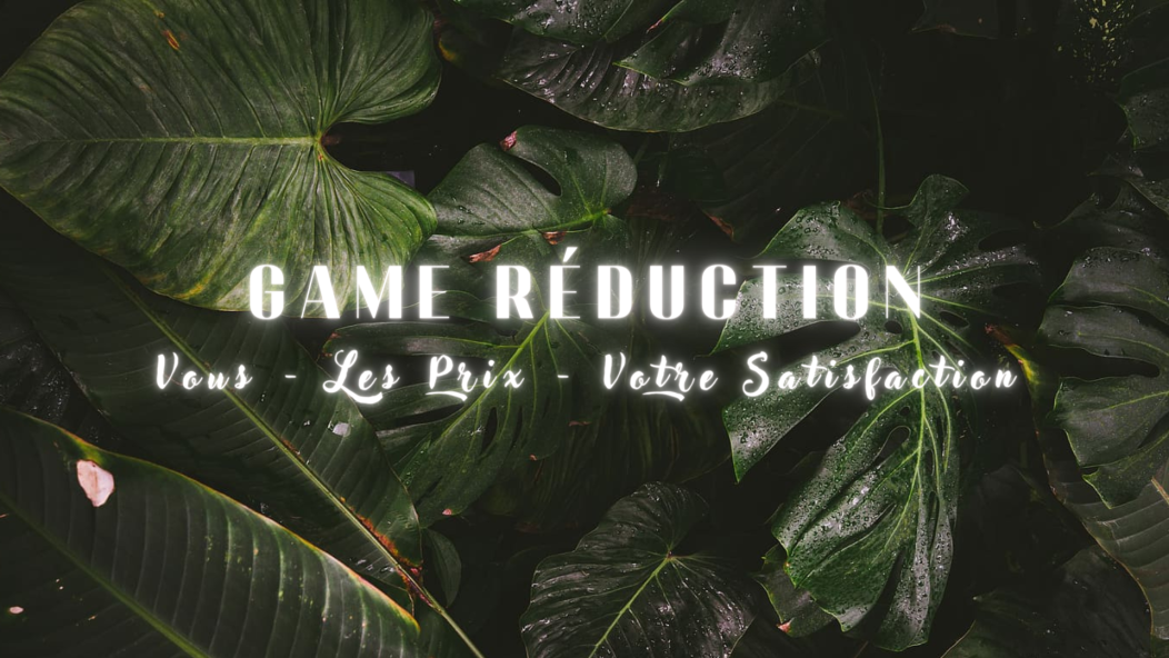 Game Réduction 1